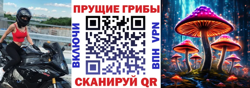 Псилоцибиновые грибы GOLDEN TEACHER  Голицыно 